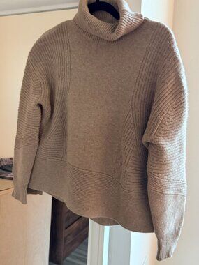 Kit and Ace 100% Cashmere Ash Turtleneck in Taupe (2)